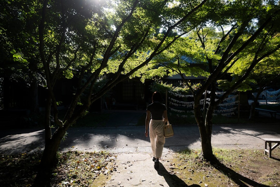 person walking in forest path